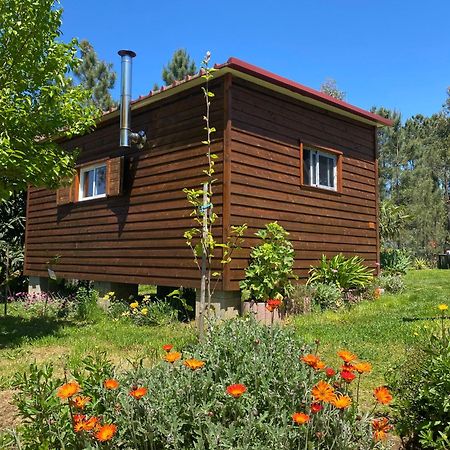 Casa Carini Villa Sertã Екстериор снимка
