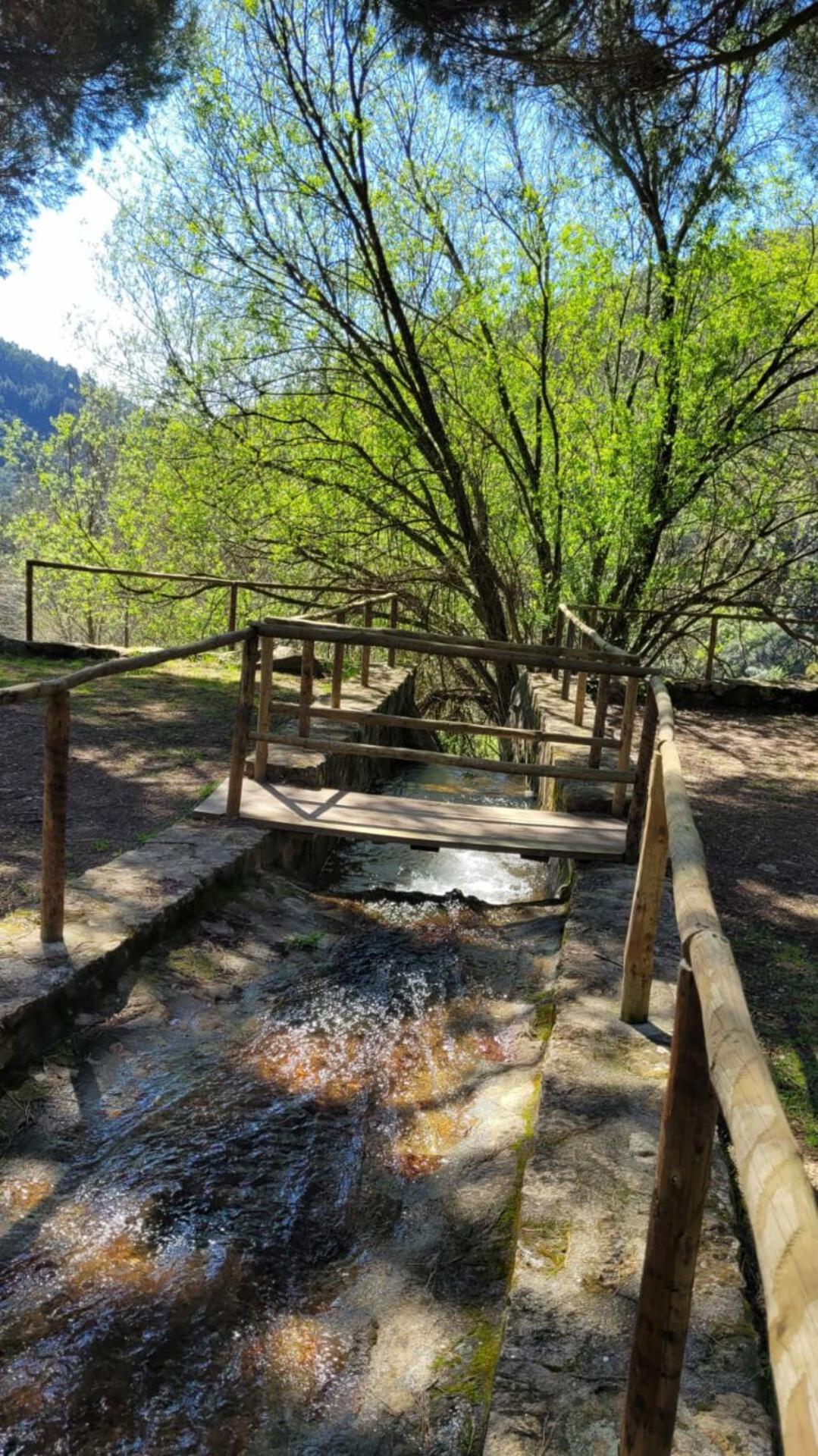 Casa Carini Villa Sertã Екстериор снимка