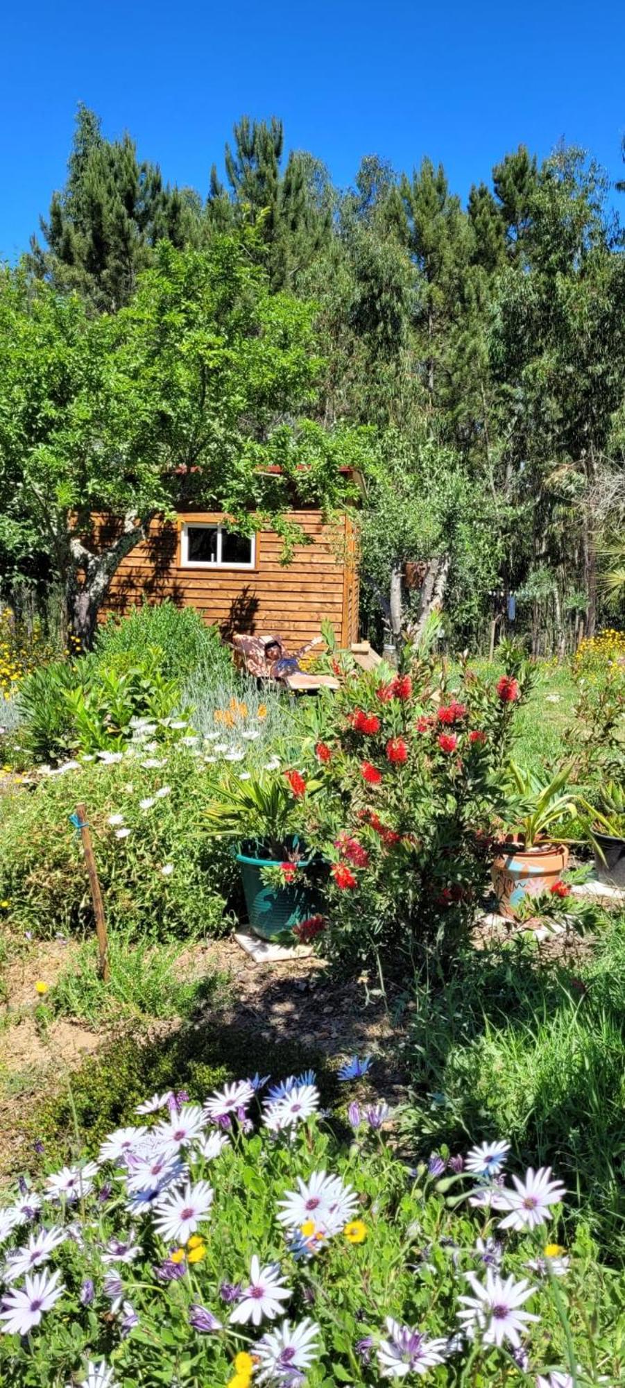 Casa Carini Villa Sertã Екстериор снимка