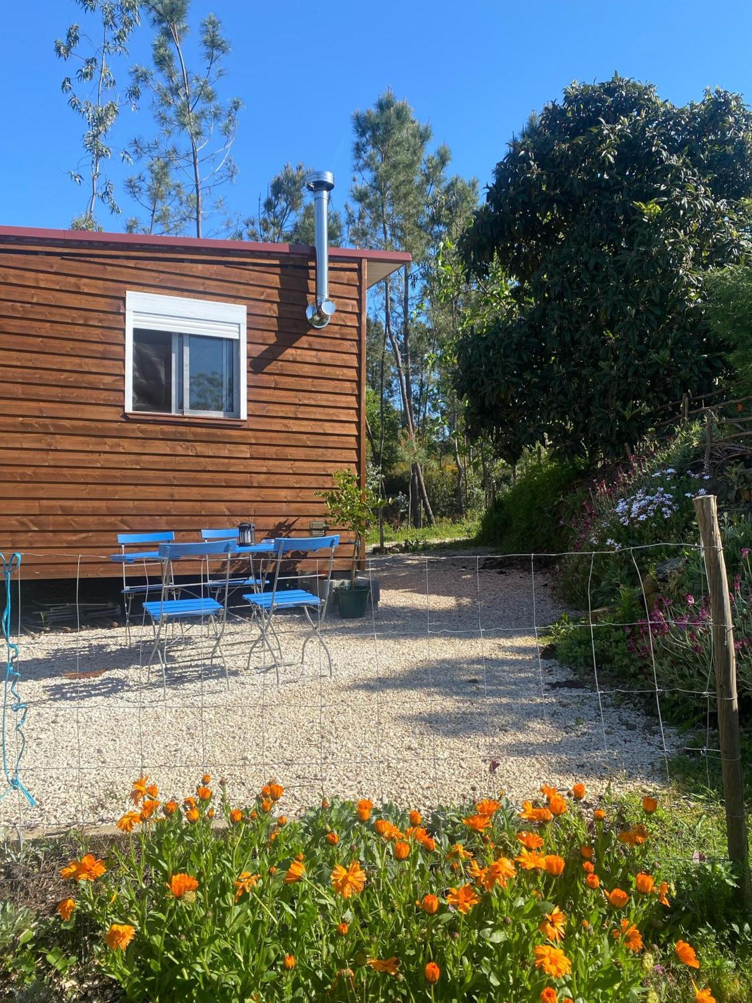Casa Carini Villa Sertã Екстериор снимка